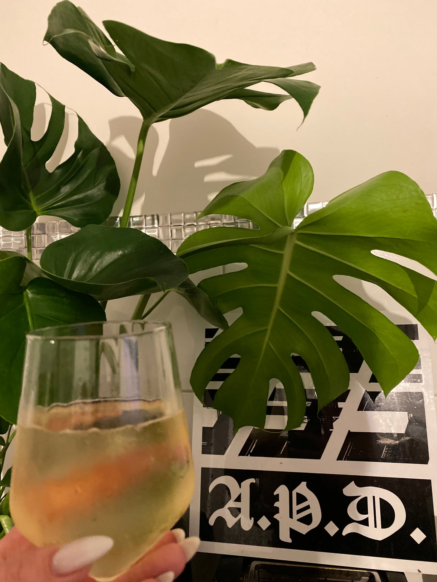 "A.P.D." Wall Plaque